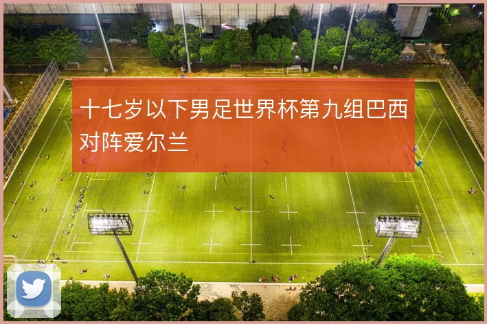 十七岁以下男足世界杯第九组巴西对阵爱尔兰