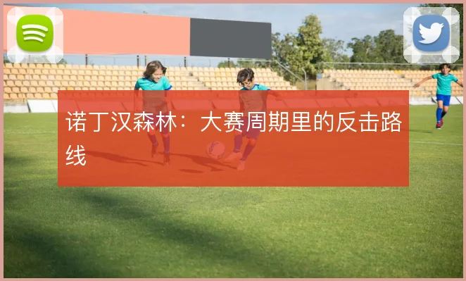 诺丁汉森林：大赛周期里的反击路线
